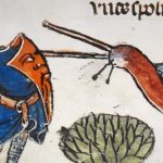 1# Įdomieji viduramžiai. Kodėl viduramžių knygose riteriai dažnai buvo vaizduojami besikaunantys su sraigėmis?